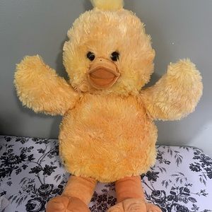 Build a bear chick